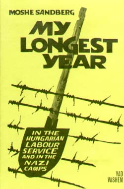 My Longest Year