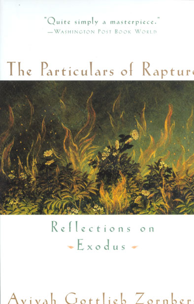 The Particulars of Rapture