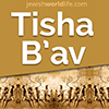 Click for more information about Tisha B'av