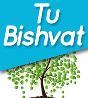 TU BISHVAT - THE FESTIVAL OF TREES 2024