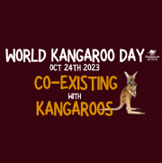 WORLD KANGAROO DAY 2024