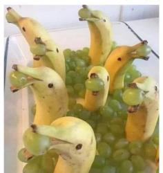 Bananas + Grapes = Dolphins
