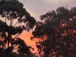 Sunset - June 2020