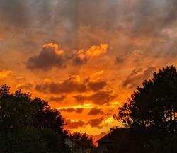The Sky seems on fire!