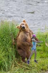 USA - Alaska