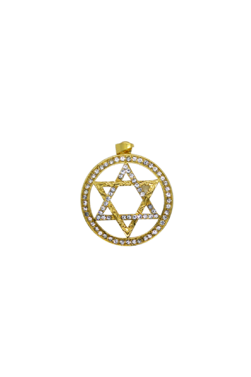 CHARM:  Gold Star In Circle