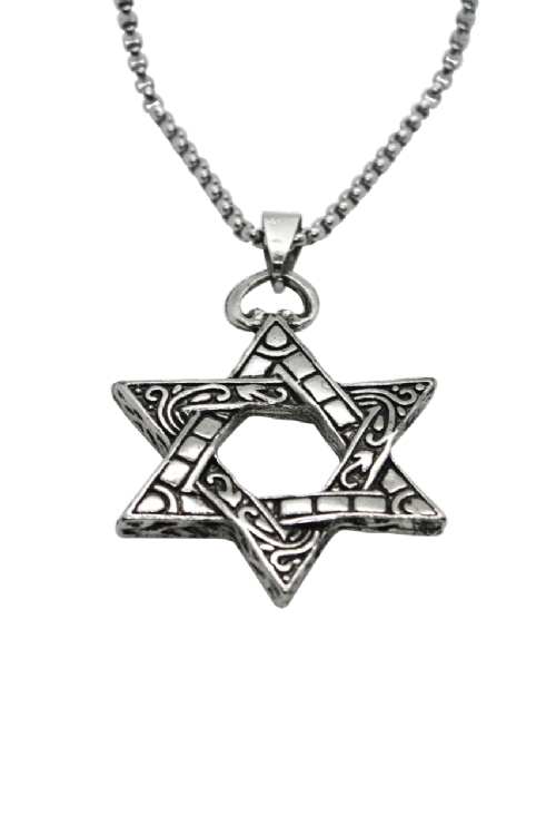 NECKLACE: Large Silver Star of David on thick silver chain