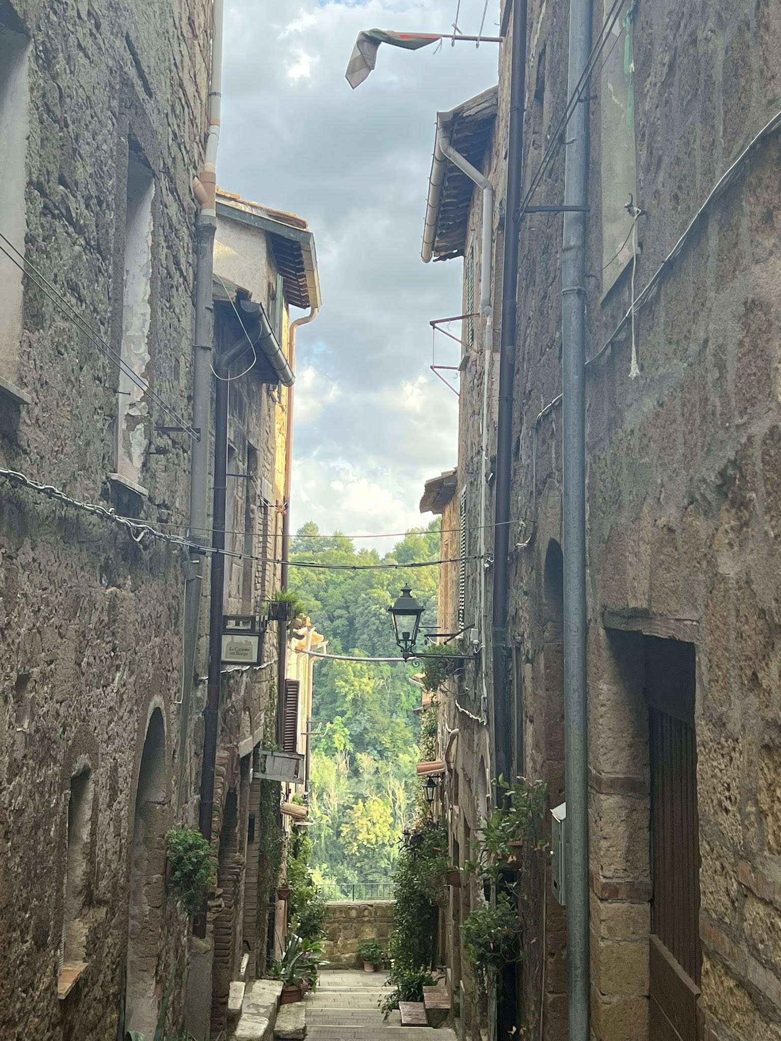 PITIGLIANO 1